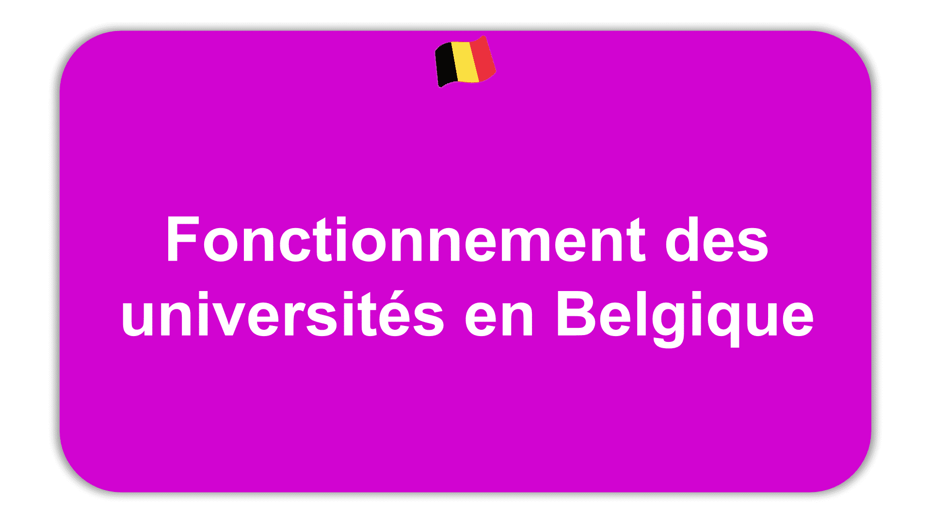 Fonctionnement des universités en Belgique