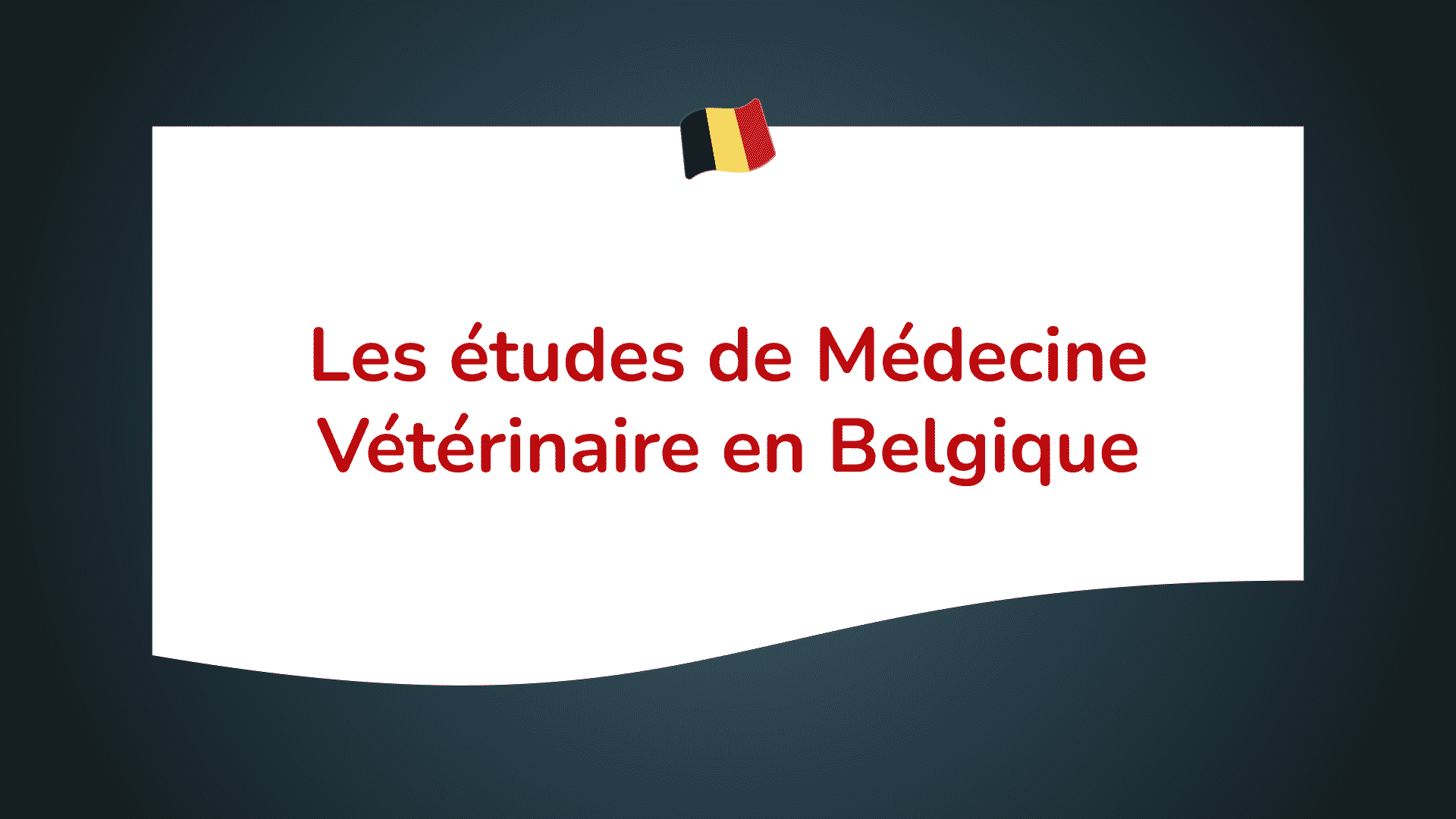 études vétérinaire en Belgique